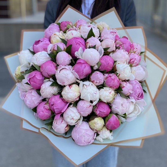 51 пион Нежный Микс в упаковке