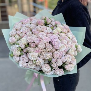 51 пионовидная кустовая роза Энджел Бомбастик 50 см