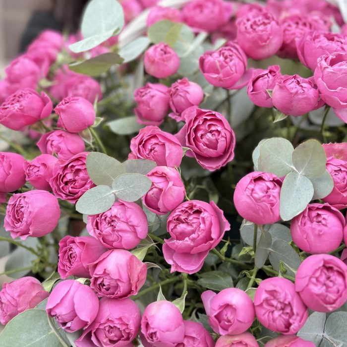 51 пионовидная кустовая роза Мисти Баблс в корзине