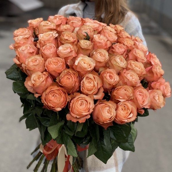 51 пионовидная роза Кахала 60 см