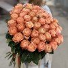 51 пионовидная роза Кахала 70 см