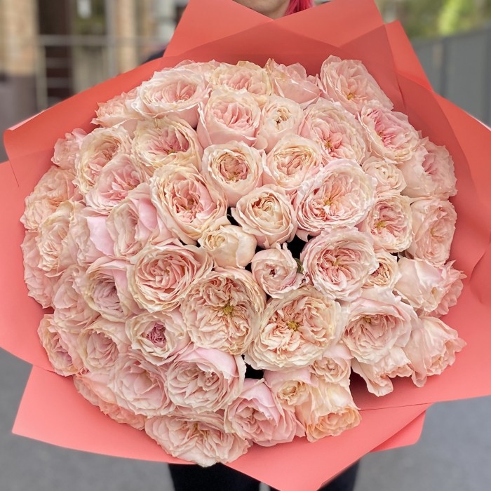 51 пионовидная роза Тсумуги