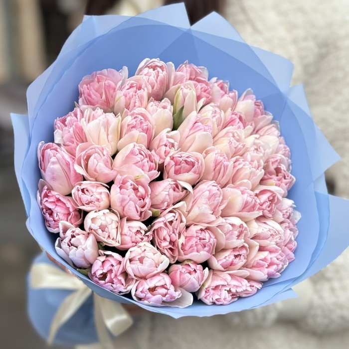 51 нежно-розовый пионовидный тюльпан Фокстрот