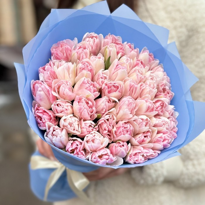 51 нежно-розовый пионовидный тюльпан Фокстрот
