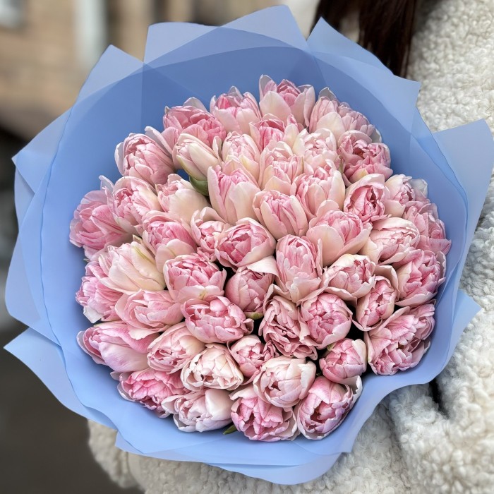 51 нежно-розовый пионовидный тюльпан Фокстрот