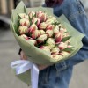 51 пионовидный тюльпан Вермонт