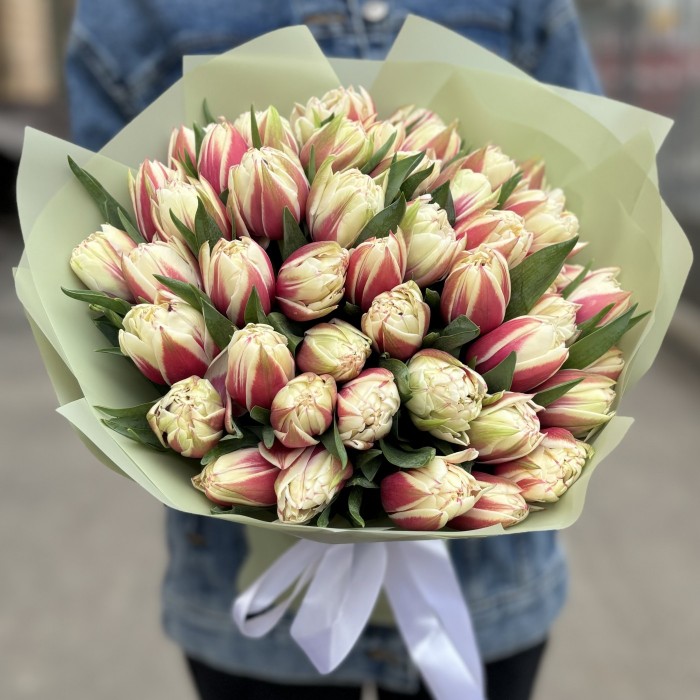 51 пионовидный тюльпан Вермонт