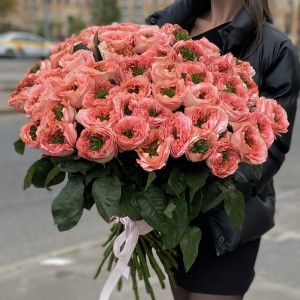 51 пионовидная роза Мандарин экспрешен (Mandarin X-pression)