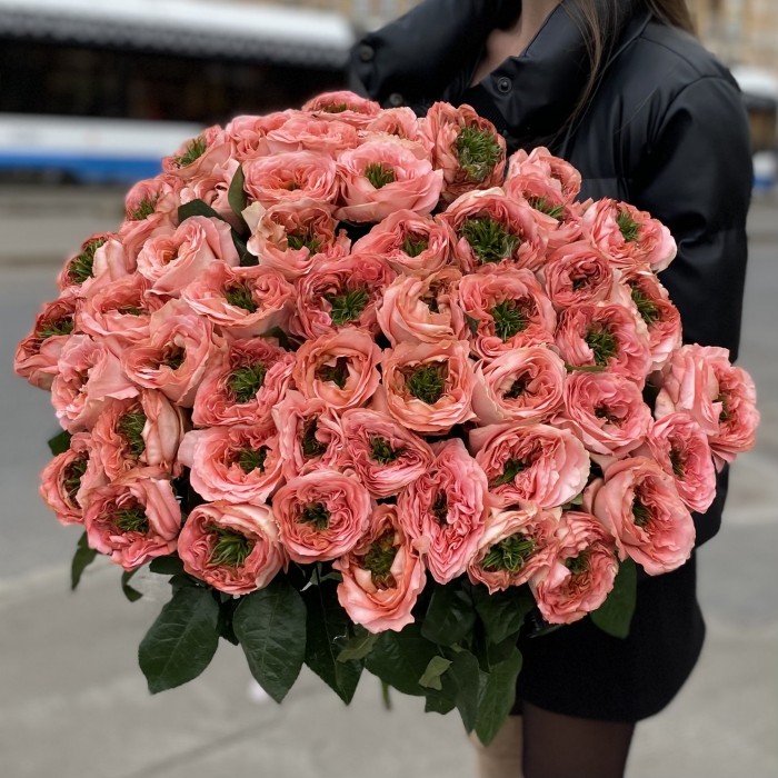 51 пионовидная роза Мандарин экспрешен (Mandarin X-pression)