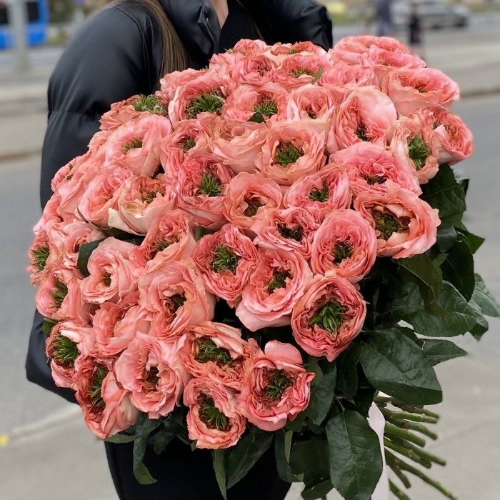 51 пионовидная роза Мандарин экспрешен (Mandarin X-pression)