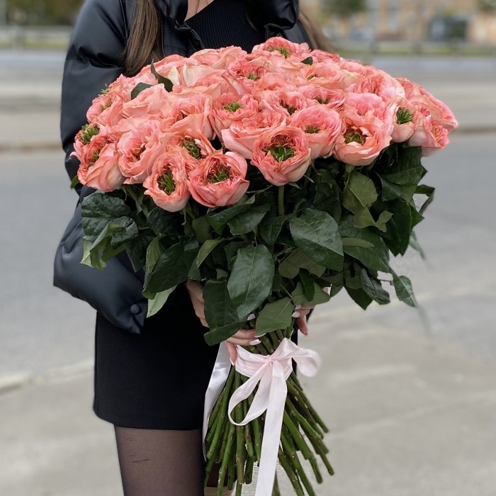 51 пионовидная роза Мандарин экспрешен (Mandarin X-pression)