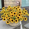 51 подсолнух с гринбеллом в корзине