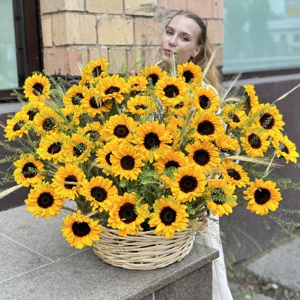 51 подсолнух с гринбеллом в корзине