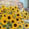 51 подсолнух с гринбеллом в корзине