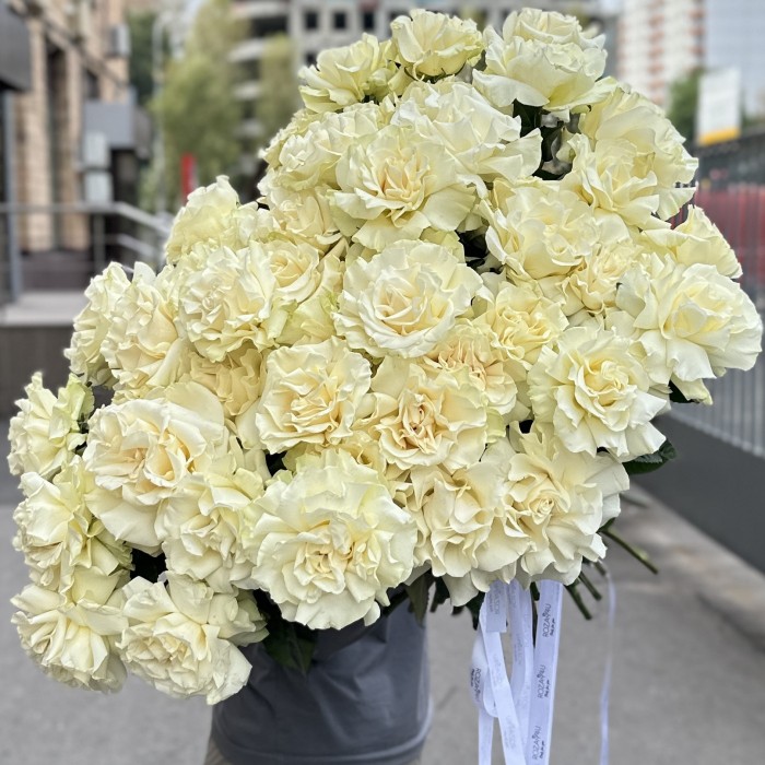 51 пышная белая роза Мондиаль