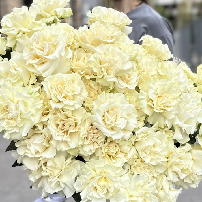 51 пышная белая роза Мондиаль