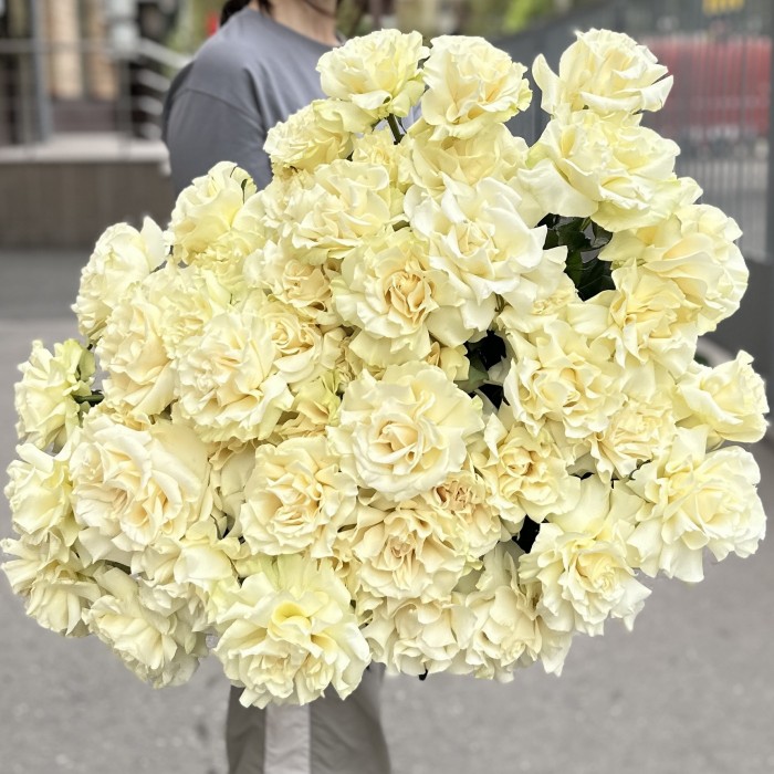 51 пышная белая роза Мондиаль