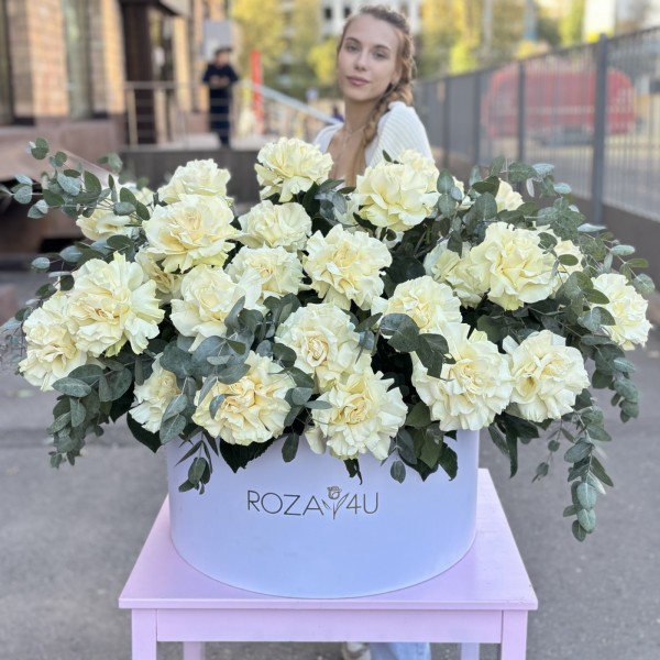 51 пышная белая роза Мондиаль с эвкалиптом в коробке