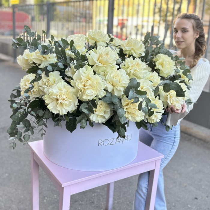 51 пышная белая роза Мондиаль с эвкалиптом в коробке