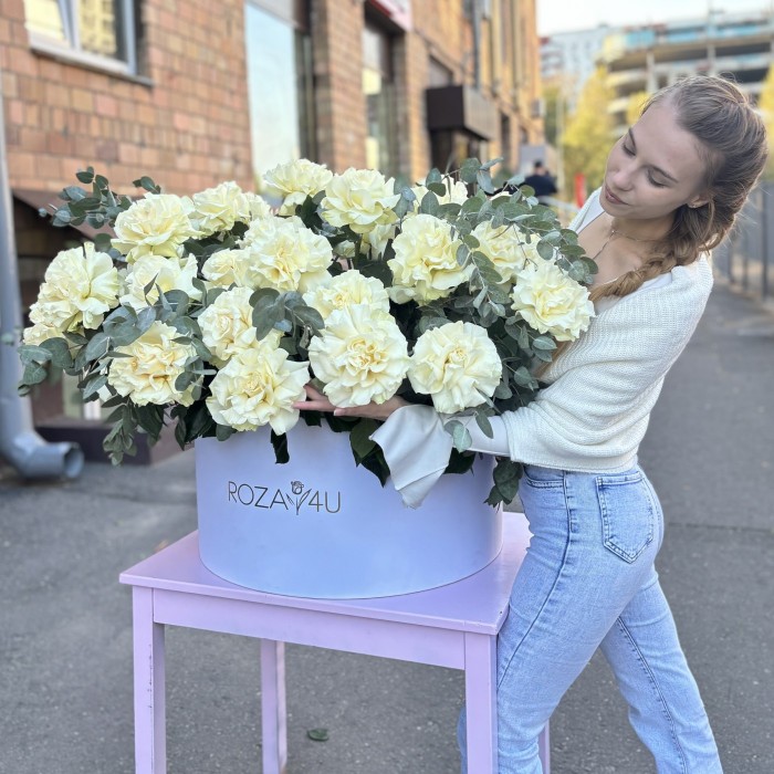 51 пышная белая роза Мондиаль с эвкалиптом в коробке