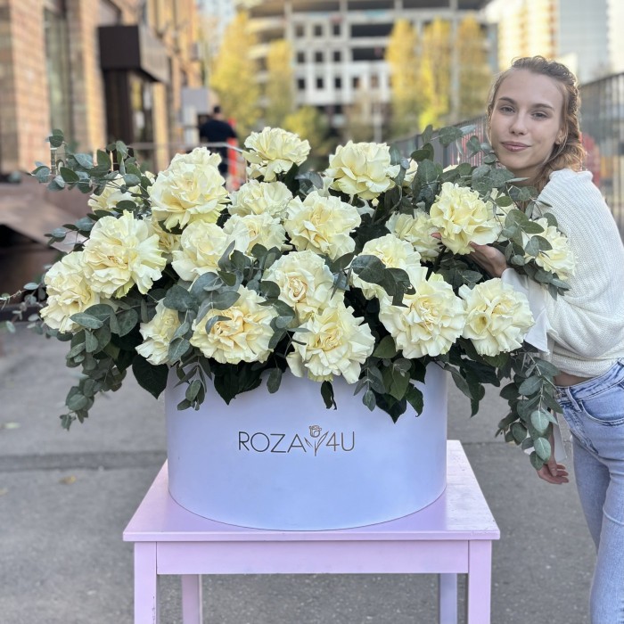 51 пышная белая роза Мондиаль с эвкалиптом в коробке