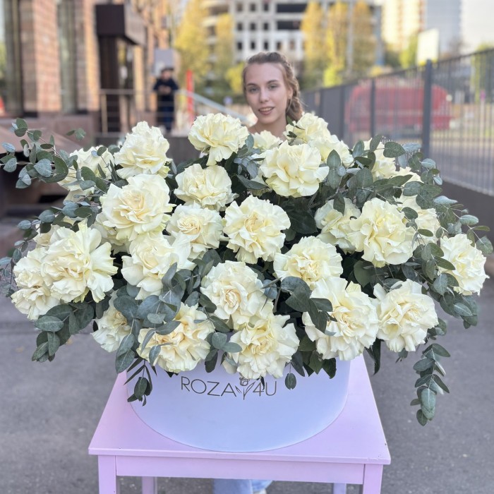 51 пышная белая роза Мондиаль с эвкалиптом в коробке