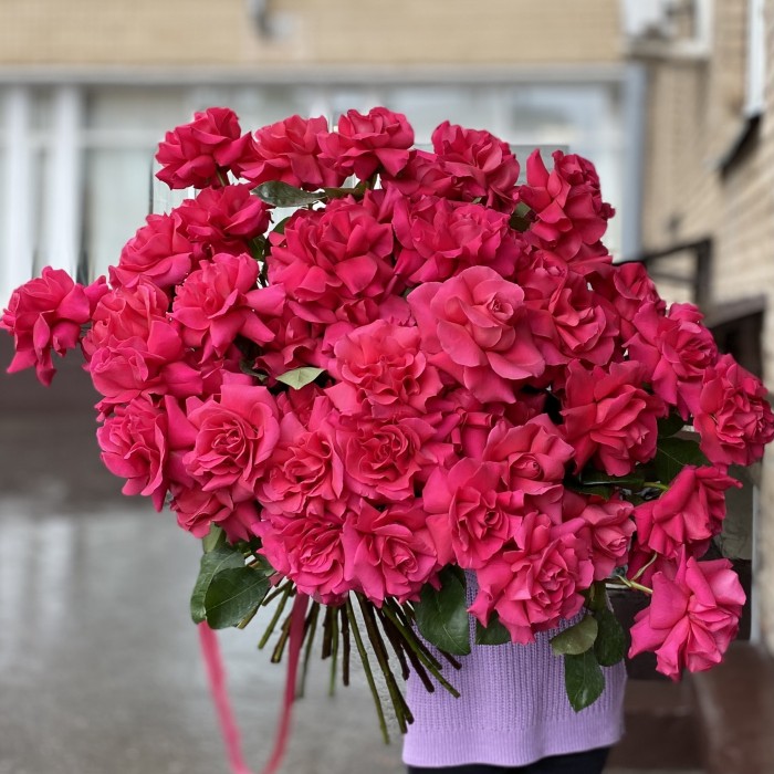 51 пышная малиновая роза Пинк Флойд