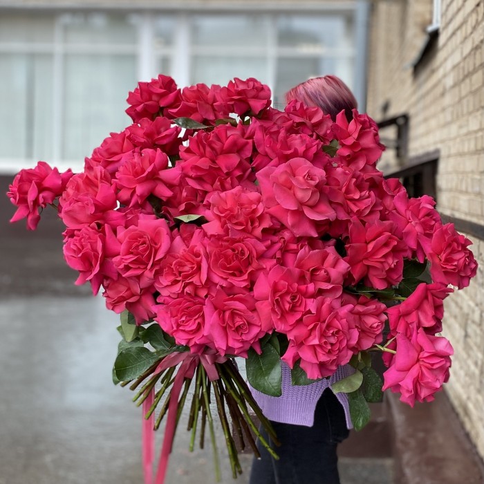 51 пышная малиновая роза Пинк Флойд