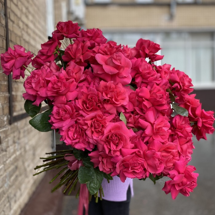 51 пышная малиновая роза Пинк Флойд