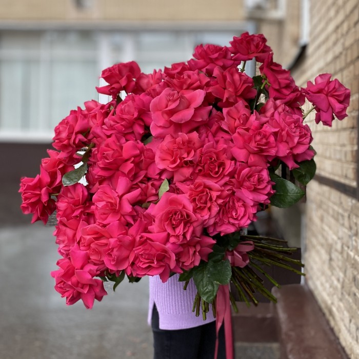 51 пышная малиновая роза Пинк Флойд