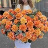 51 пышная роза Фри Спирит с эвкалиптом в бархатной коробке
