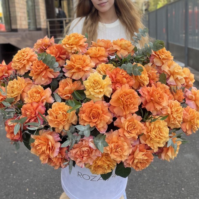 51 пышная роза Фри Спирит с эвкалиптом в бархатной коробке