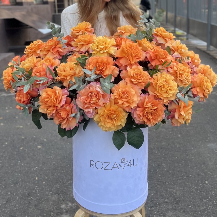 51 пышная роза Фри Спирит с эвкалиптом в бархатной коробке