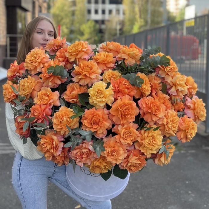 51 пышная роза Фри Спирит с эвкалиптом в бархатной коробке