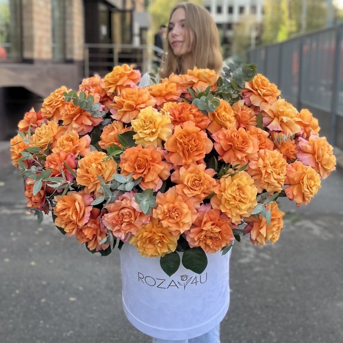 51 пышная роза Фри Спирит с эвкалиптом в бархатной коробке