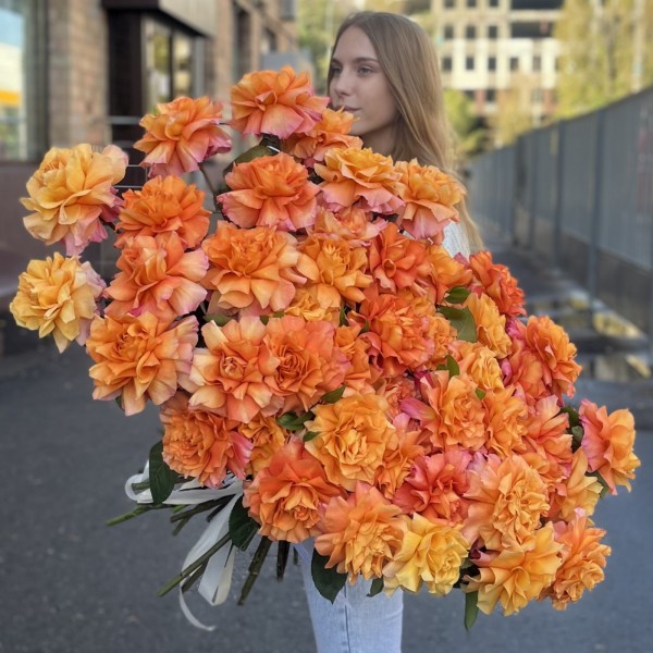 51 пышная роза Фри Спирит