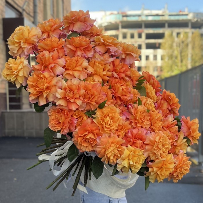 51 пышная роза Фри Спирит