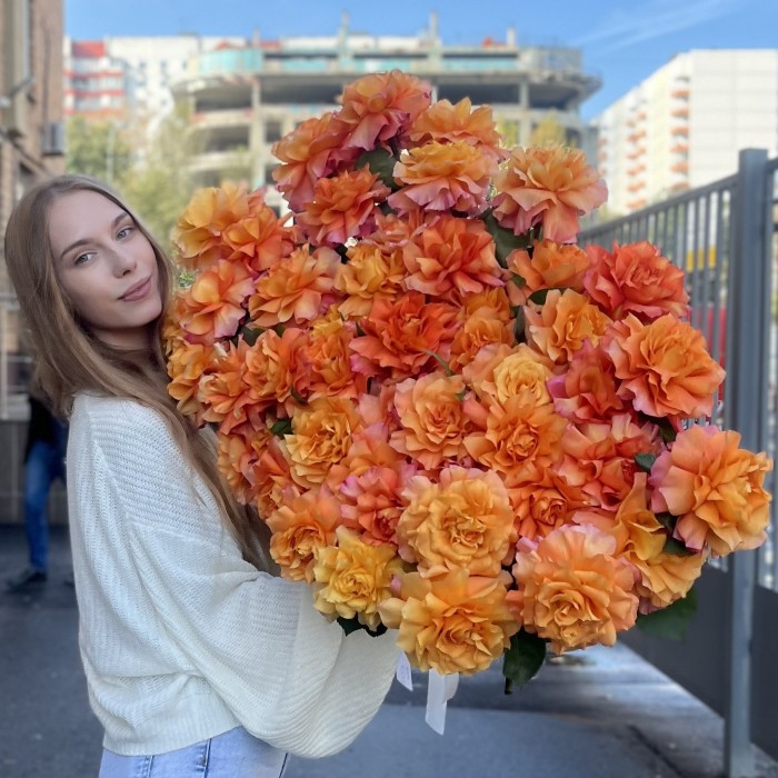 51 пышная роза Фри Спирит