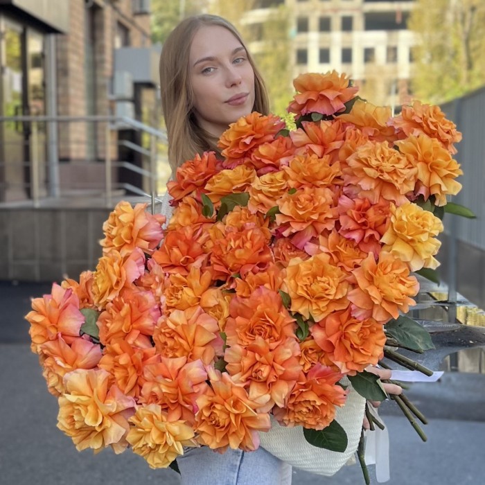 51 пышная роза Фри Спирит