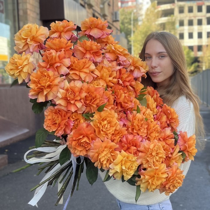 51 пышная роза Фри Спирит