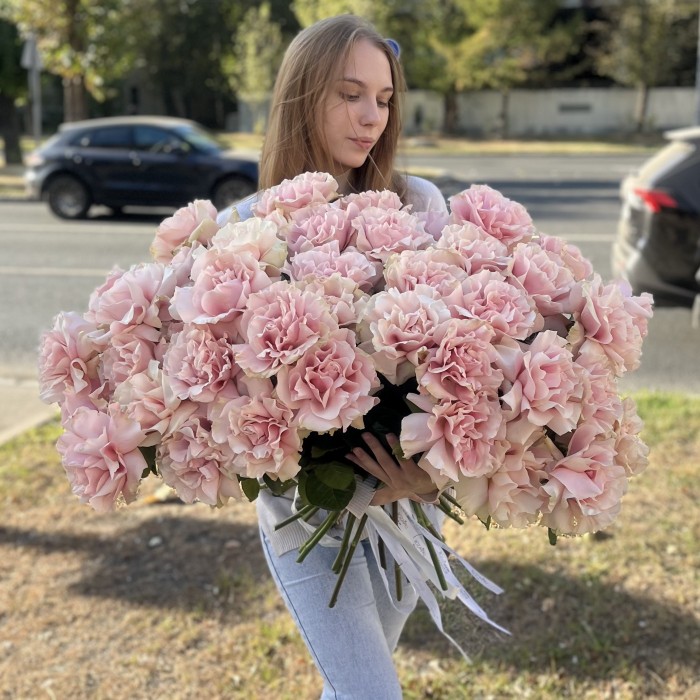 51 пышная роза Пинк Мондиаль