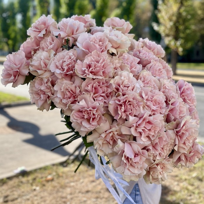 51 пышная роза Пинк Мондиаль