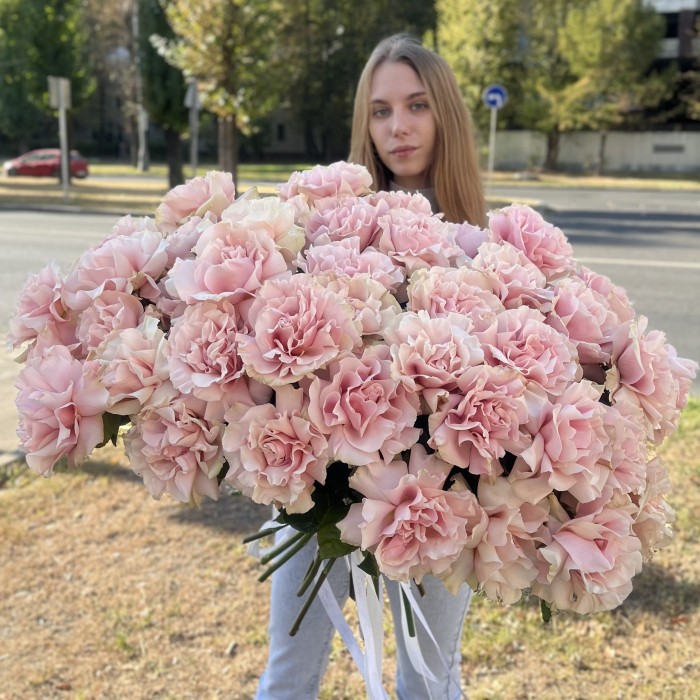 51 пышная роза Пинк Мондиаль