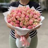 51 розово-зеленая роза Бел-роз