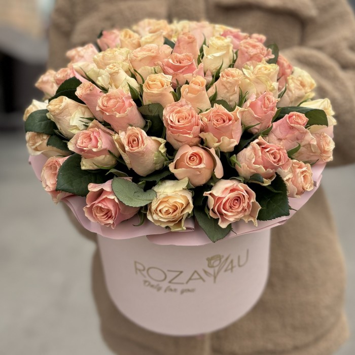 51 кремово-розовая роза Свит Такаци в коробке