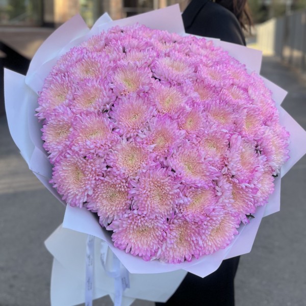 51 розовая хризантема Минка