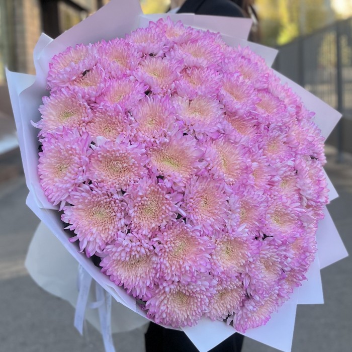 51 розовая хризантема Минка