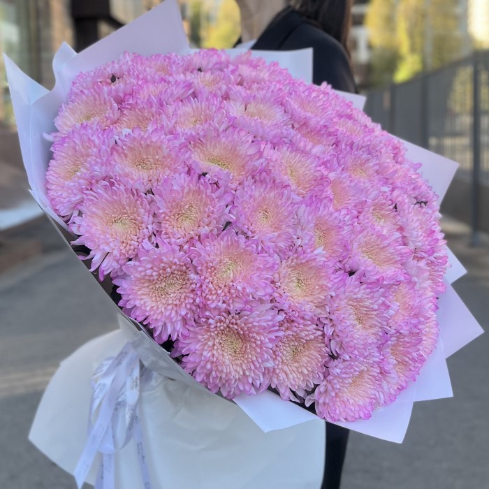 51 розовая хризантема Минка
