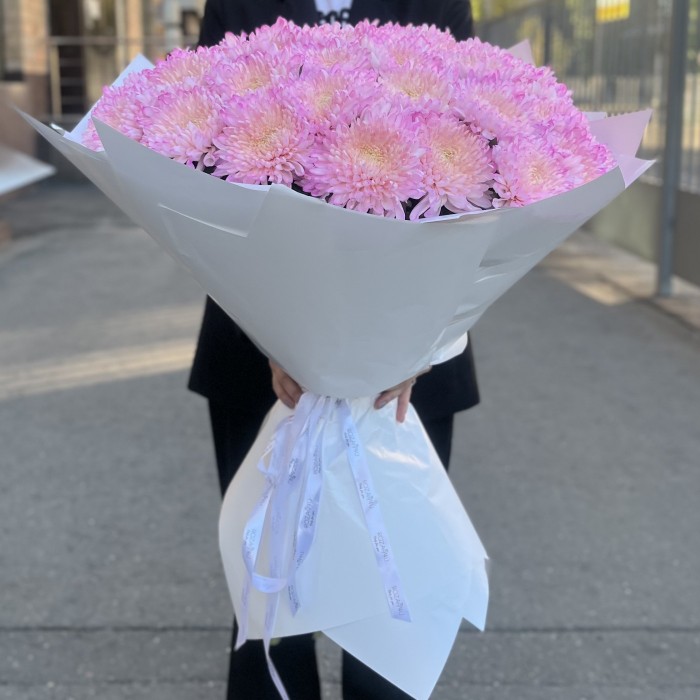 51 розовая хризантема Минка