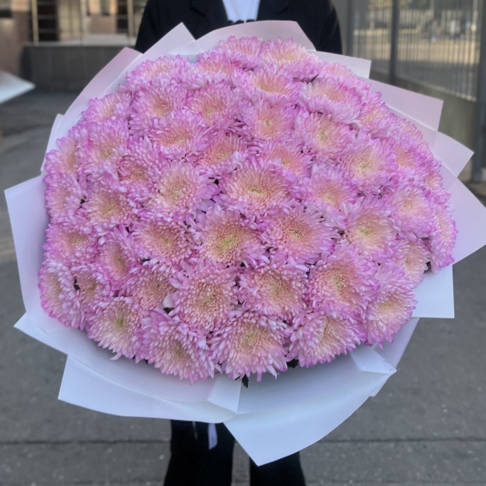 51 розовая хризантема Минка